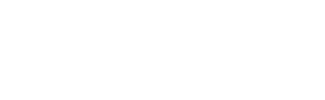 Celin srl Logo